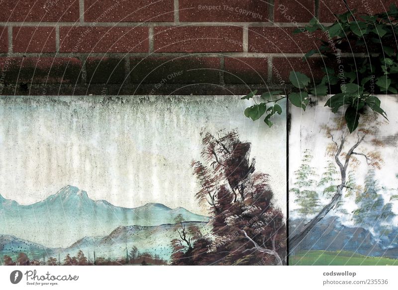 paradise lost Natur Landschaft Pflanze Baum Grünpflanze Berge u. Gebirge Mauer Wand ästhetisch dreckig trashig trist Kunst skurril Traurigkeit Vergänglichkeit