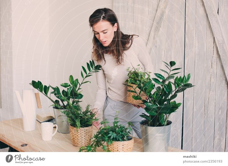junge Frau beim Gießen von Blumentöpfen zu Hause Lifestyle Freizeit & Hobby Erwachsene Pflanze Blatt Gießkanne modern natürlich grün lässig Zimmerpflanze