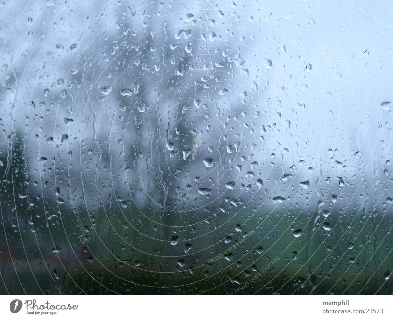 It's raining ... Baum Unscharf Regen Regentropfen Scheibe Fenster Fensterglas Fensterscheibe regnerisch x