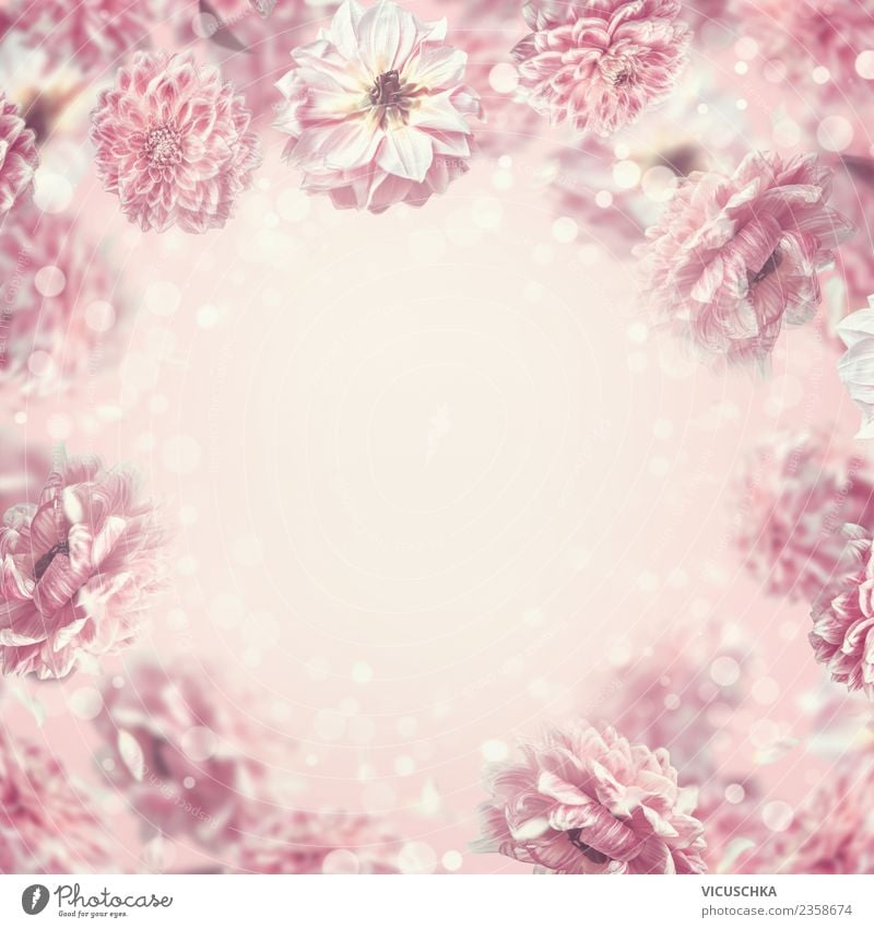 Pastell rosa Blumen Hintergrund Rahmen Stil Design Sommer Feste & Feiern Valentinstag Muttertag Hochzeit Geburtstag Pflanze Rose Blüte Dekoration & Verzierung