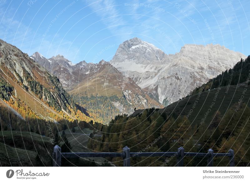 Berge am Berninapass Natur Landschaft Pflanze Himmel Sonnenlicht Herbst Schönes Wetter Baum Sträucher Felsen Alpen Berge u. Gebirge Schweiz Gipfel Schlucht