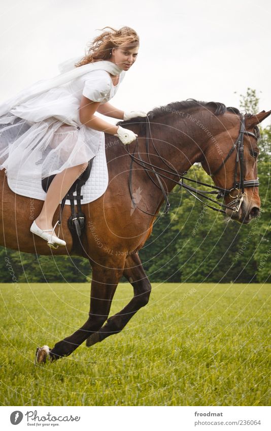 Geschwindigkeit Mensch feminin Junge Frau Jugendliche Erwachsene Tier Pferd Bewegung Freude Lebensfreude Kraft Brautkleid Reiten blond galoppieren edel Dynamik