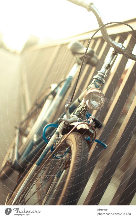 b i c y c l e. Fahrrad Brücke Farbfoto Nahaufnahme Dämmerung Licht Gegenlicht Brückengeländer Abstellplatz parken angelehnt geschlossen Sicherheit 1