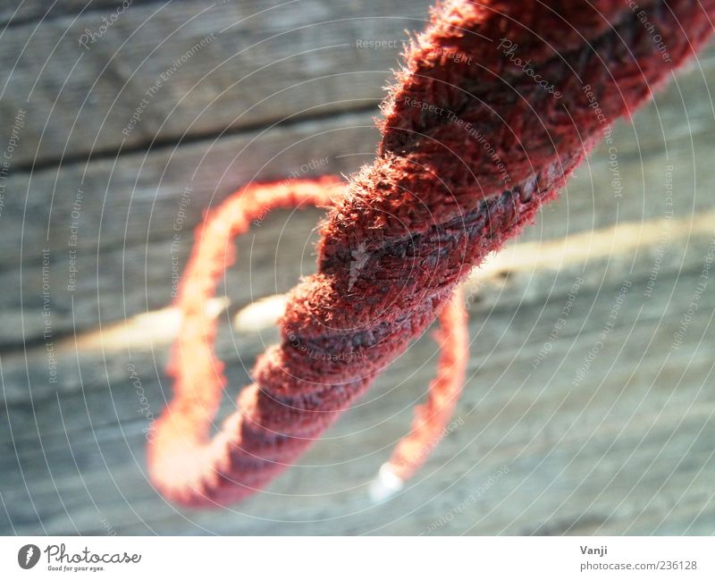 Rotes Seil hängen grau rot alt Holzbrett Farbfoto Außenaufnahme Tag Nahaufnahme hängend freihängend Halt fest Menschenleer Unschärfe 1