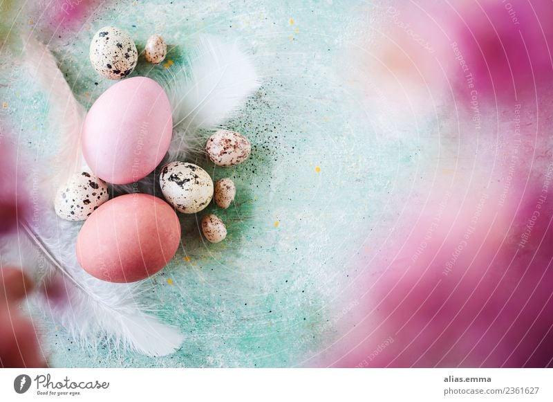 Kunterbunte Ostergrüße Ostern Osterei mehrfarbig rosa türkis Ei Farbe Unschärfe April Frühling frisch Textfreiraum Postkarte