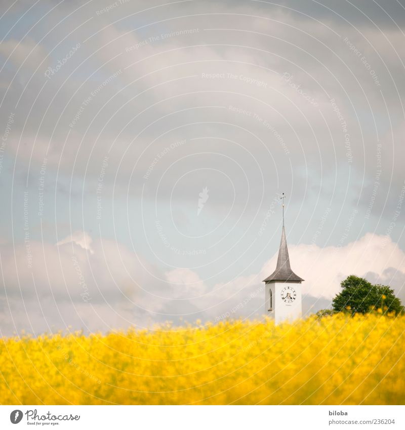 Landeskirche Himmel Wolken Sommer Nutzpflanze Hügel Kirche Bauwerk Gebäude Architektur gelb grau weiß ruhig Glaube Religion & Glaube Hoffnung Idylle Inspiration