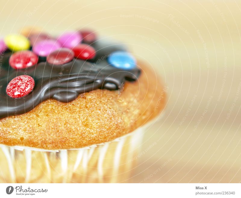 Muffin Lebensmittel Kuchen Dessert Süßwaren Schokolade Ernährung lecker süß mehrfarbig Appetit & Hunger Schokolinsen Farbfoto Nahaufnahme Textfreiraum rechts