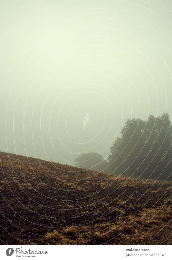 Herbst Natur Landschaft Wetter Nebel Feld braun grau Gefühle Endzeitstimmung trüb Ackerboden Landwirtschaft Farbfoto Ferne Menschenleer Himmel