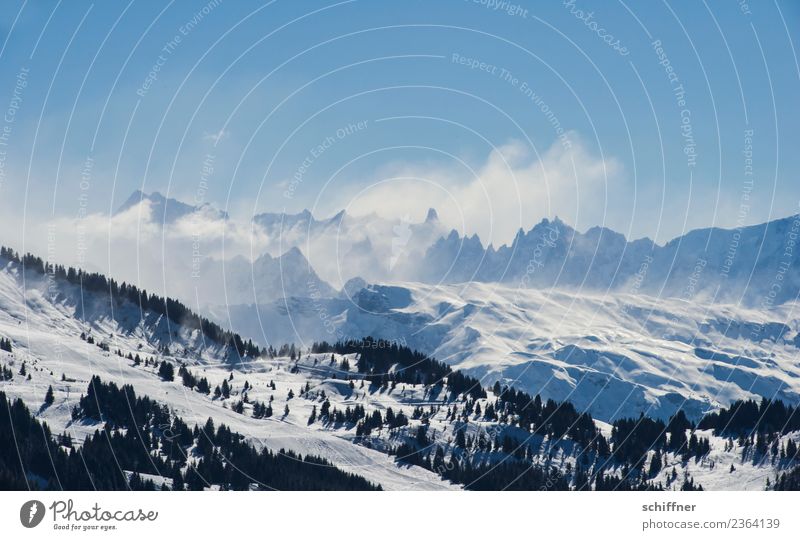Puderzuckersturm III Umwelt Natur Landschaft Wolkenloser Himmel Sonnenlicht Winter Schönes Wetter Wind Eis Frost Schnee Baum Felsen Alpen Berge u. Gebirge