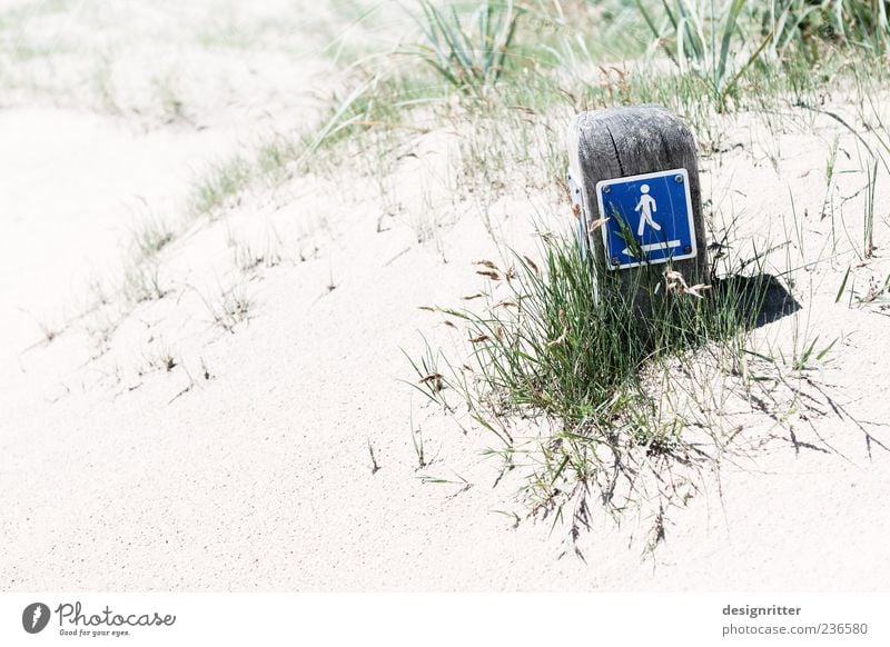 Finderlohn Safari Sommer Sommerurlaub Strand Meer Sand Pflanze Gras Küste Nordsee Zeichen Schilder & Markierungen wandern hell Wegweiser Fußweg Piktogramm
