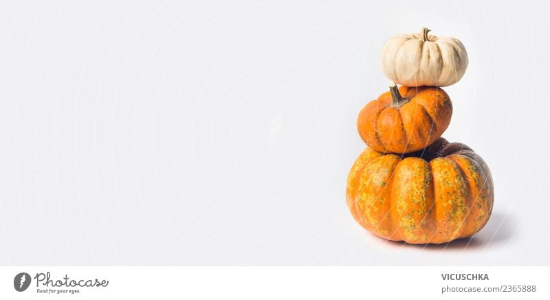 Kürbis Stapel auf weiß Lebensmittel Gemüse kaufen Stil Gesunde Ernährung Feste & Feiern Erntedankfest Halloween Natur Herbst gelb Design Hintergrundbild
