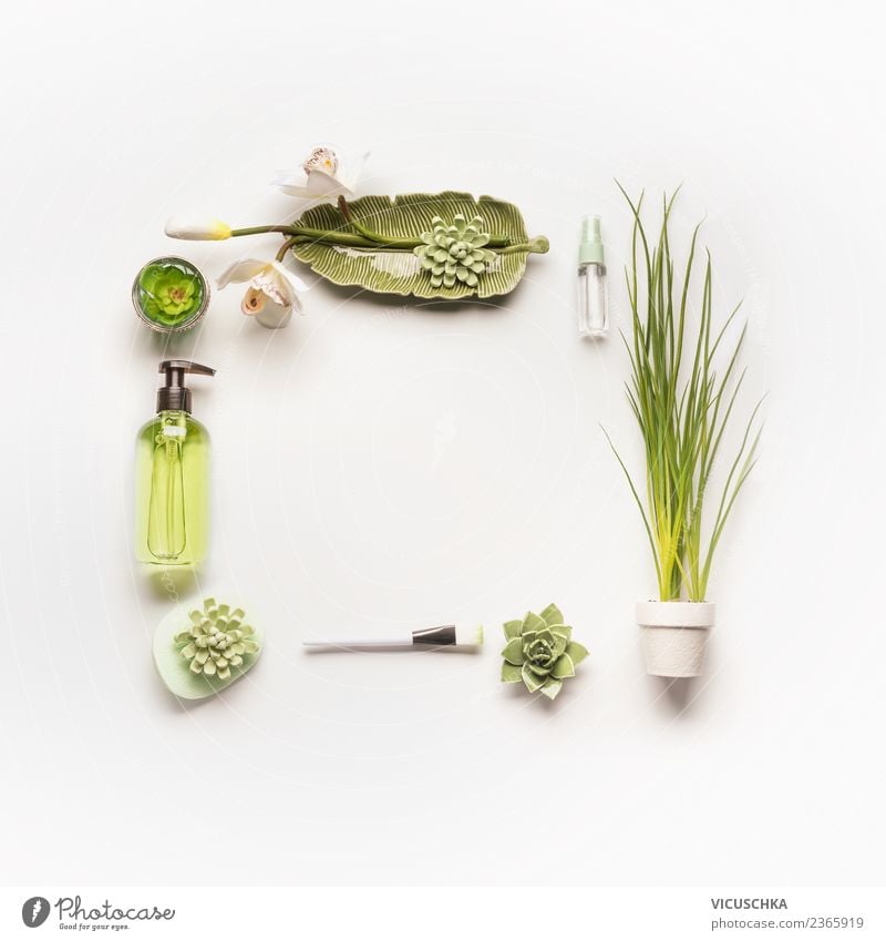 Moderne Gesichtspflege. Grüne NaturKosmetik kaufen Stil Design schön Körperpflege Creme Gesundheit Wellness Spa Pflanze trendy Entwurf Hintergrundbild