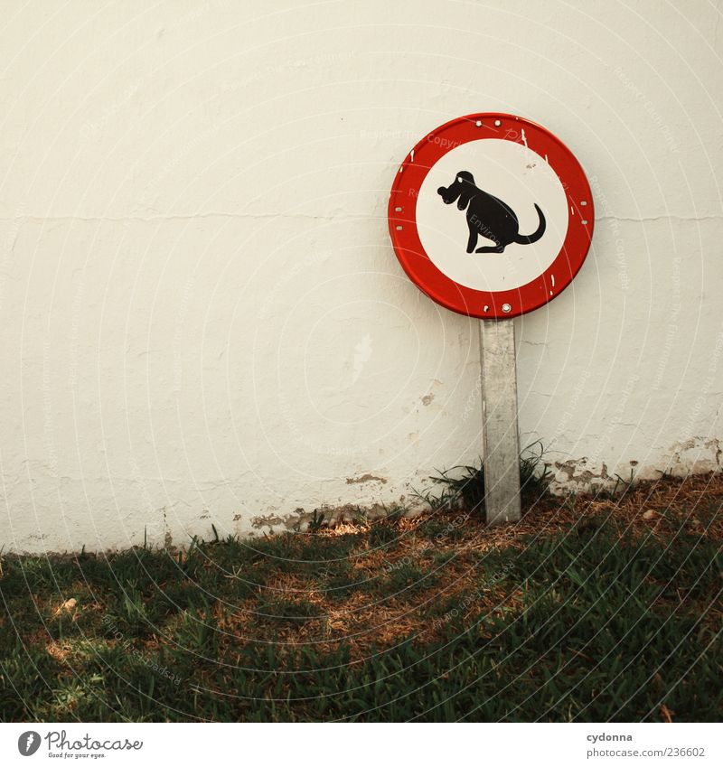 Bitte nicht auf den Rasen setzen Lifestyle Umwelt Gras Park Wiese Mauer Wand Hund Zeichen Schilder & Markierungen Hinweisschild Warnschild einzigartig entdecken
