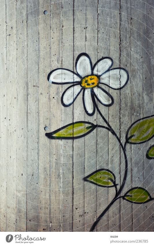 Eine Erwachsene aus'm Ghetto Umwelt Blume Mauer Wand Fassade Graffiti authentisch Freundlichkeit Fröhlichkeit niedlich schön grau Wachstum Zeichnung Putz