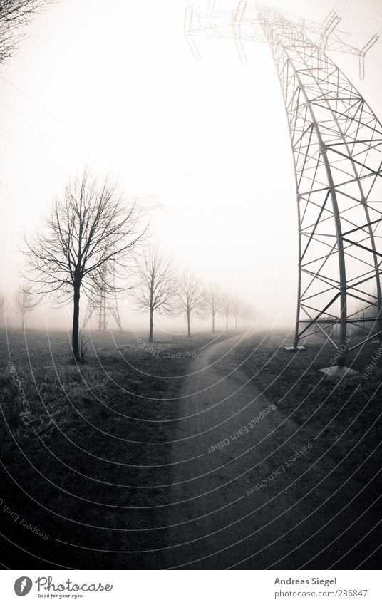 Der Weg Technik & Technologie Energiewirtschaft Hochspannungsleitung Strommast Umwelt Natur Landschaft schlechtes Wetter Nebel Baum Wiese Feld Wege & Pfade