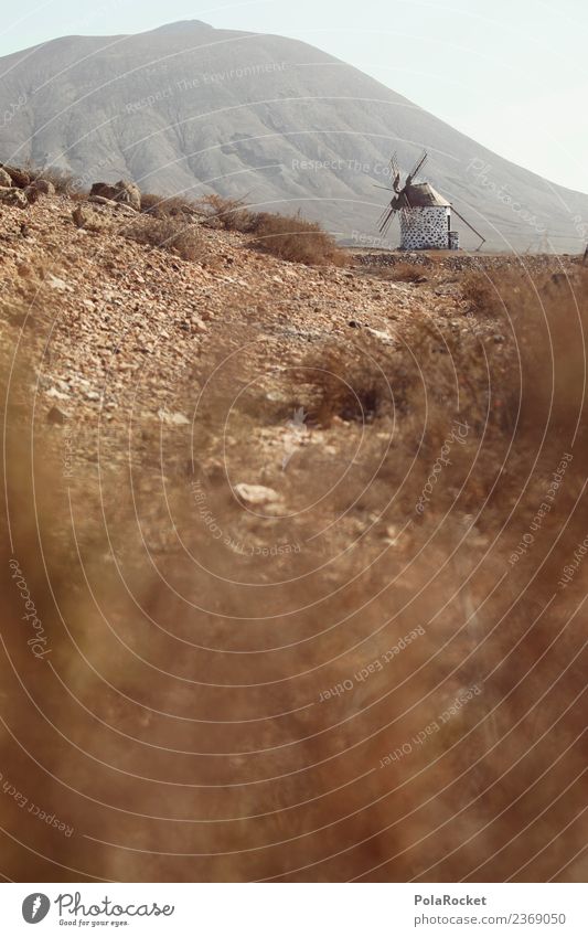 #AS# Mühlenweg Kunst ästhetisch Wege & Pfade Fuerteventura trist Ödland karg Windmühle historisch Spanien Farbfoto Gedeckte Farben Außenaufnahme Detailaufnahme