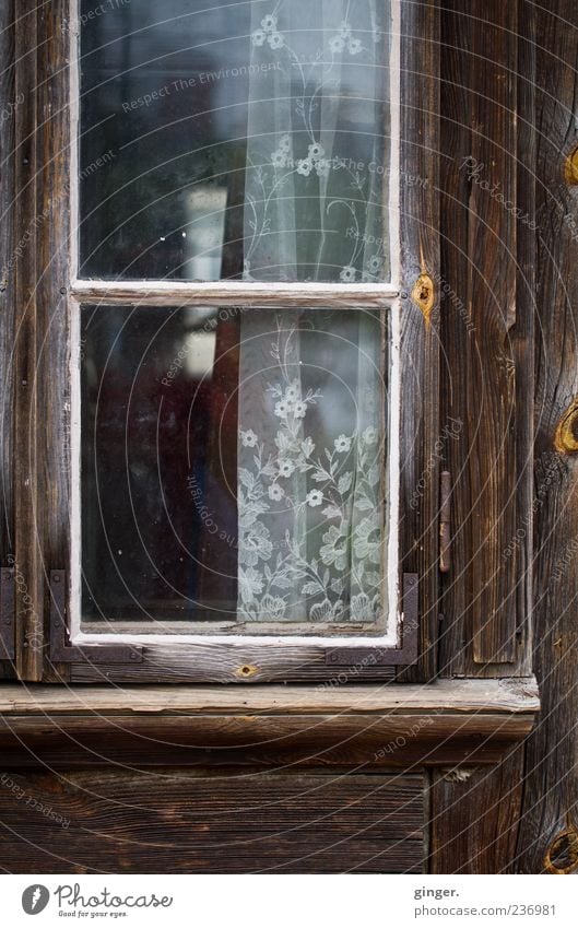 Durchblick im Ansatz vorhanden Fenster Tür braun alt schäbig matt durchsichtig Gardine Abnutzung trist Teilung ausgebleicht geschlossen Unbewohnt leer Holz