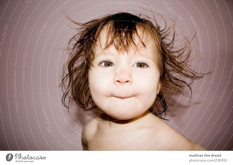 WUSCHELKOPF Mensch Kleinkind Kopf Haare & Frisuren 1 1-3 Jahre schön Freude Wange frech niedlich grinsen durcheinander Farbfoto mehrfarbig Innenaufnahme