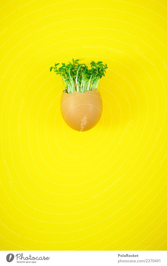 #S# Ei Ei Kresse Lebensmittel Freude Ostern Kunst ästhetisch Witz grün Pflanze gelb nachhaltig ökologisch Wachstum Haare & Frisuren Haare schneiden Kindheit