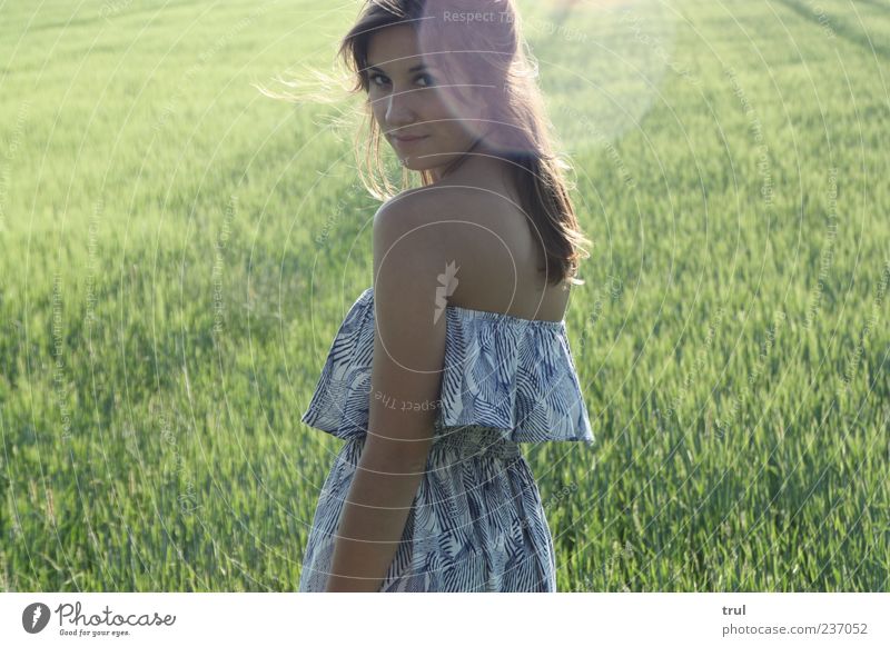 Die Prinzessin feminin Junge Frau Jugendliche Rücken Sonnenlicht Sommer Schönes Wetter Wind Gras Sträucher Feld Kleid Rüschenkleid brünett drehen Lächeln