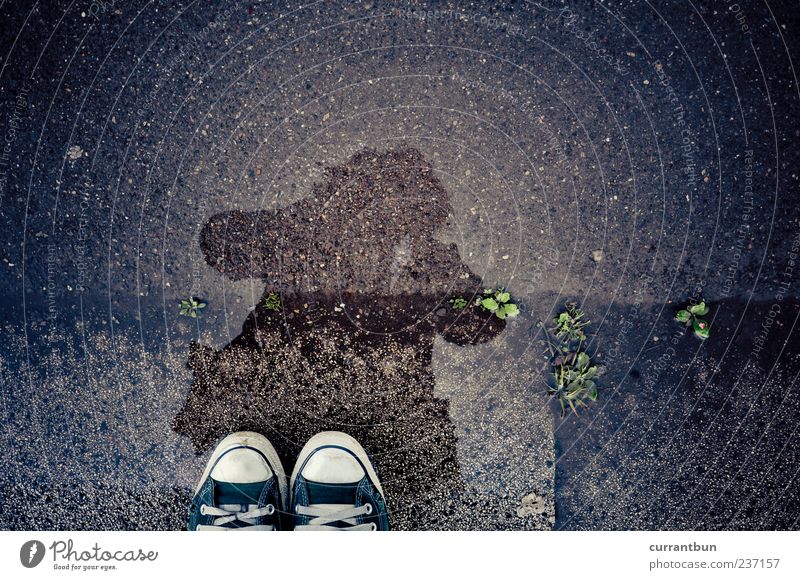 Es liegen Welten zwischen uns... Chucks Schuhe grün Schatten Pfütze Reflexion & Spiegelung Frau Farbfoto mehrfarbig Außenaufnahme Textfreiraum oben Tag Kontrast