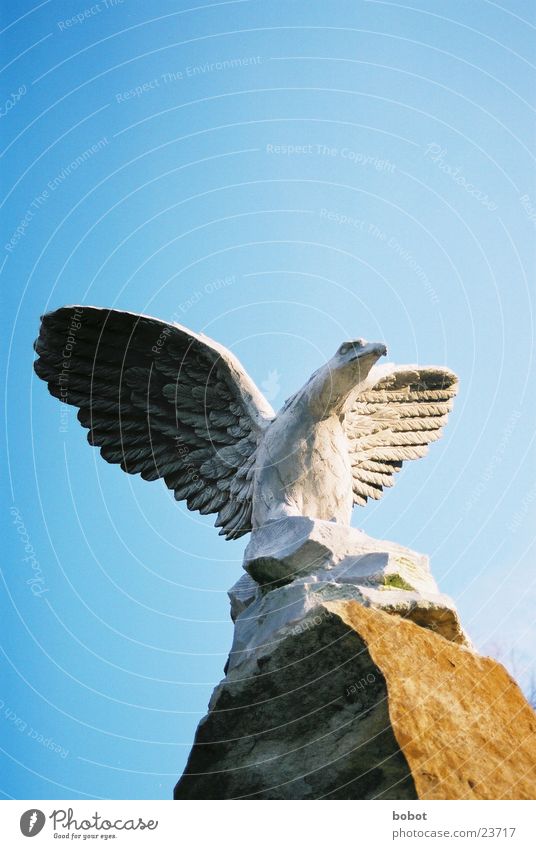 Stoned IV Statue Adler stagnierend Feder Sonnenaufgang Beton Kunst Bildhauerei Vogel Handwerk Greifvogel Flügel fliegen Himmel blau Stein versteinert