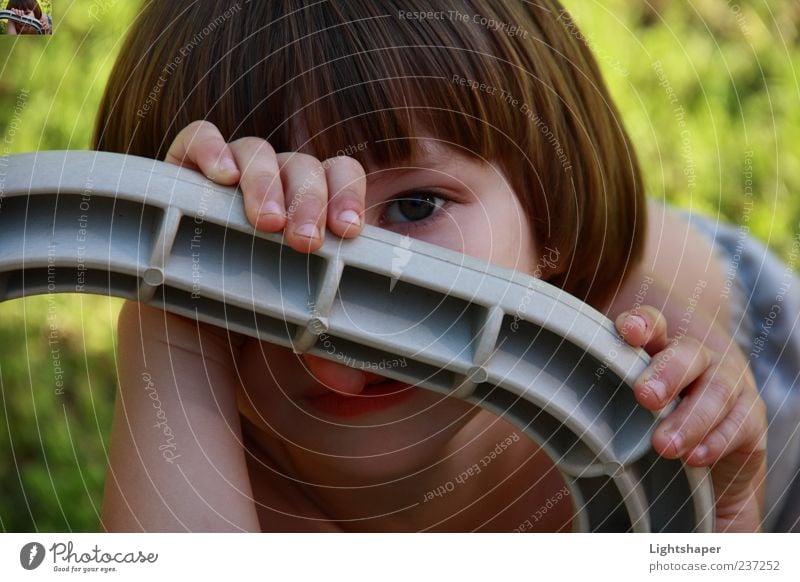 Klar sehen Mensch Kind Junge Gesicht 1 3-8 Jahre Kindheit Schönes Wetter Sträucher langhaarig Blick frech Freundlichkeit Fröhlichkeit schön klein Neugier blau