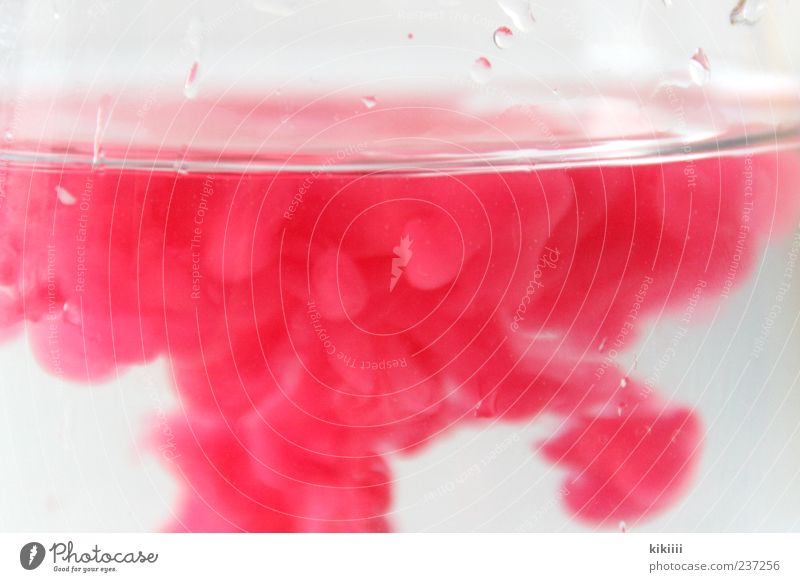 Smoke rosa Wasser Farbe Farbstoff Wassertropfen Tropfen Oberfläche Strukturen & Formen verschmelzen rot färben außergewöhnlich Flüssigkeit fließen Menschenleer