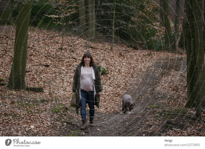 junge schwangere Frau mit langen brünetten Haaren geht mit ihrem Hund auf einem Waldweg spazieren Mensch feminin Junge Frau Jugendliche Erwachsene 1 30-45 Jahre
