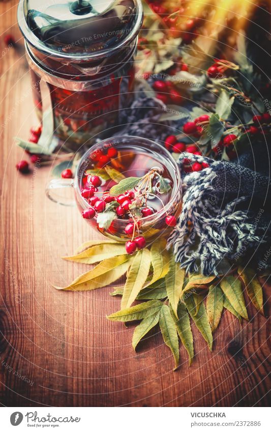 Herbst Tee auf Holztisch mit Lauf und Schal Lebensmittel Getränk Heißgetränk Stil Design Alternativmedizin Gesunde Ernährung Häusliches Leben Wohnung Rose