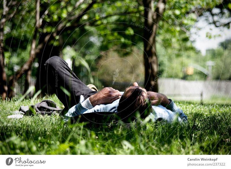 Relax. Lifestyle Leben harmonisch Wohlgefühl Zufriedenheit Erholung ruhig Freizeit & Hobby Freiheit Sommer Sonnenbad Frühling Park Wiese Gefühle Gras