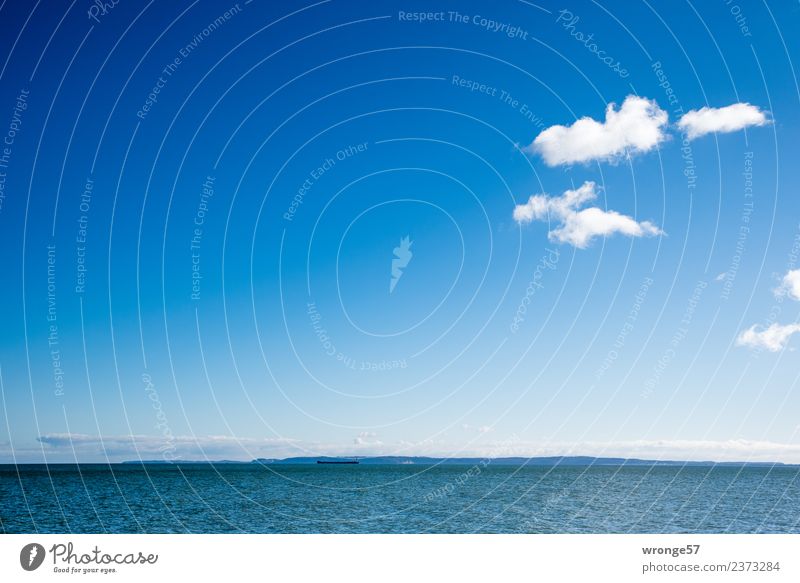 Horizont und Meer Landschaft Luft Wasser Himmel Wolken Frühling Schönes Wetter Wellen Küste Bucht Ostsee frei Unendlichkeit maritim blau weiß Wasseroberfläche