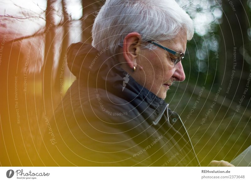 Seniorin schaut im Herbstwald auf ihr Smartphone Freizeit & Hobby Handy Mensch feminin Frau Erwachsene Weiblicher Senior Großmutter Leben 1 60 und älter Umwelt