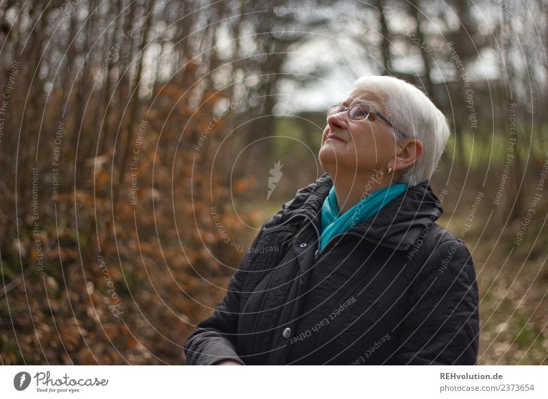 Seniorin schaut im Herbstwald nach oben Mensch feminin Frau Erwachsene Weiblicher Senior Großmutter Leben 1 60 und älter Umwelt Natur Landschaft Wald Jacke