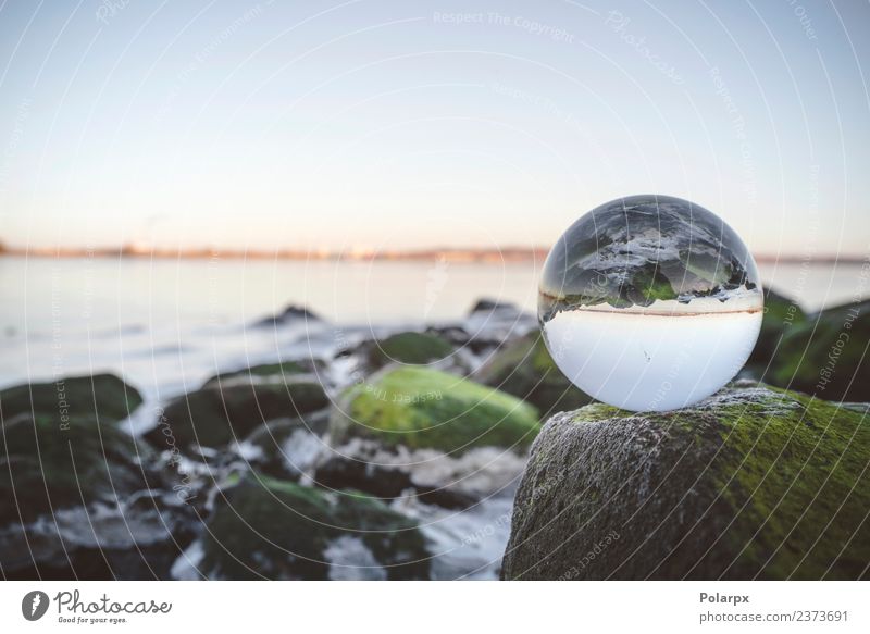 Glaskugel auf Felsen durch das Meer bedeckt Meditation Umwelt Natur Pflanze Erde Moos Küste See Fluss Kugel Globus glänzend hell Sauberkeit Surrealismus Zukunft
