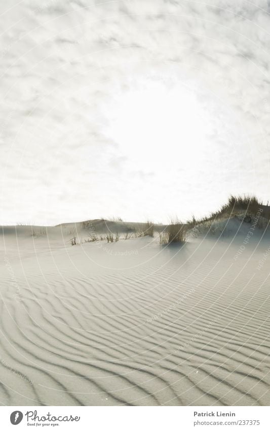 Spiekeroog | Neverending Dream Strand Wellen Umwelt Natur Landschaft Pflanze Urelemente Sand Himmel Sonnenlicht Klima Wetter Schönes Wetter Hügel Küste Nordsee