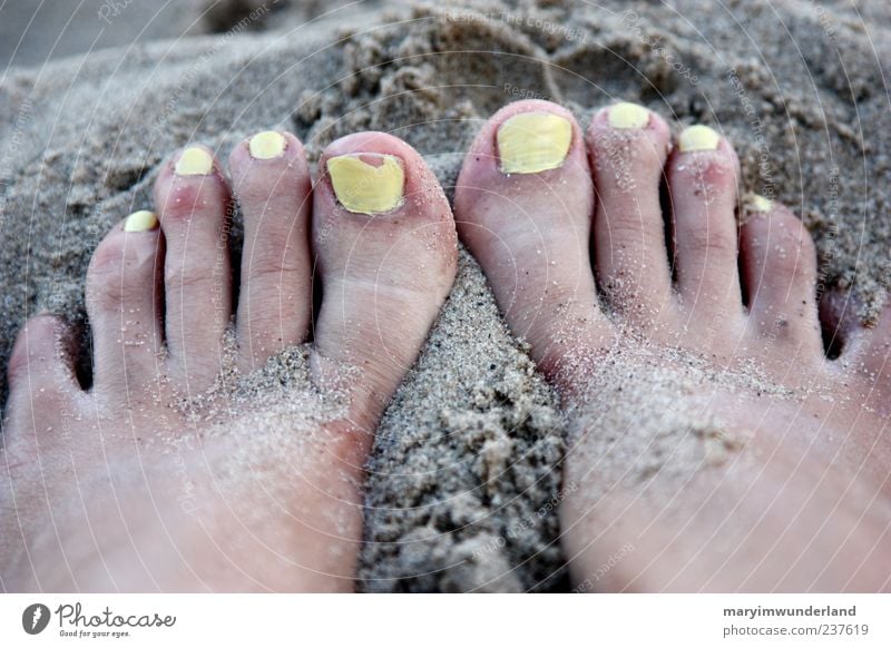 10x gelb. Nagellack Wohlgefühl Sommer Sommerurlaub Strand Meer Fuß Zehen genießen warten ästhetisch Erholung Freiheit Sand Sandkorn Frauenfuß Barfuß Farbfoto