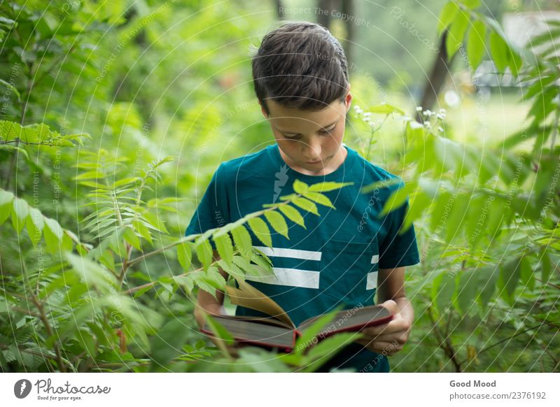 Konzept für die Naturbildung - Junge im Wald Lesebuch Freizeit & Hobby lesen Sommer Schule lernen Mensch Mann Erwachsene Kindheit Jugendliche Buch Herbst Baum