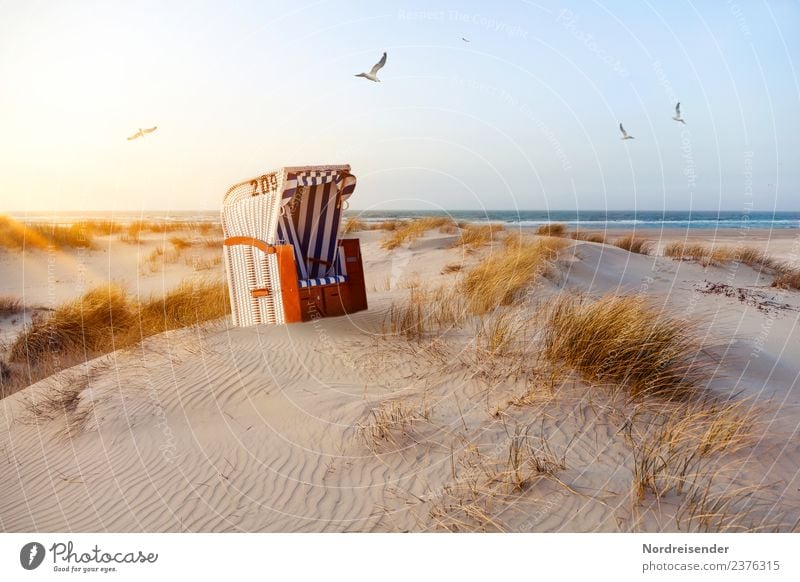 Strandkorb in den Dünen Sinnesorgane Ferien & Urlaub & Reisen Tourismus Sommer Sommerurlaub Sonne Meer Natur Landschaft Urelemente Sand Wasser