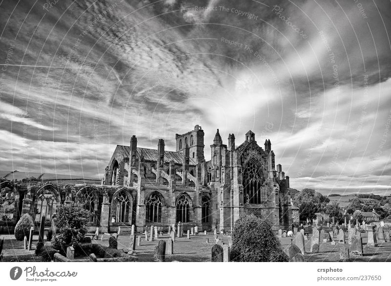 Abbey, oh Abbey... Menschenleer Kirche Dom Ruine Gebäude Sehenswürdigkeit Wahrzeichen Denkmal Stein Kraft Macht Schutz Verschwiegenheit Schottland Architektur