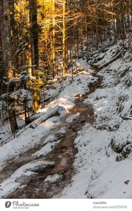 Der Weg wandern Fitness Umwelt Natur Landschaft Winter Eis Frost Schnee Hügel Berge u. Gebirge Wege & Pfade ruhig Farbfoto Außenaufnahme Menschenleer Abend