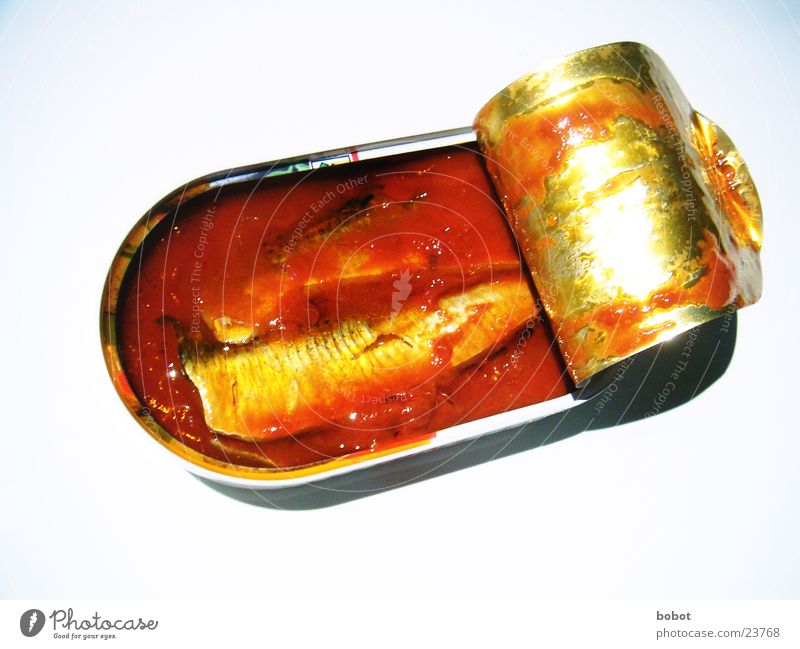 Fisch in Tomate Saucen Meeresfrüchte Dose Konservendose Fischereiwirtschaft Blech Ernährung Erdöl