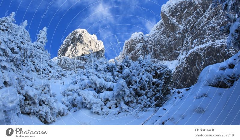 der Sonne entgegen Freizeit & Hobby Natur Landschaft Luft Himmel Winter Eis Frost Schnee Sträucher Wildpflanze Felsen Berge u. Gebirge Gipfel