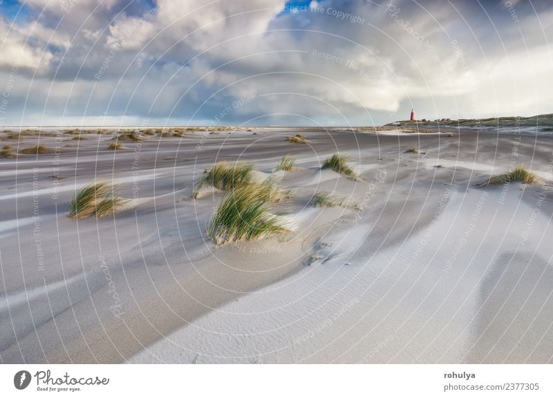 windiger stürmischer Tag an der Nordseeküste, Texel, Holland schön Ferien & Urlaub & Reisen Strand Natur Landschaft Sand Himmel Wolken Horizont Wetter