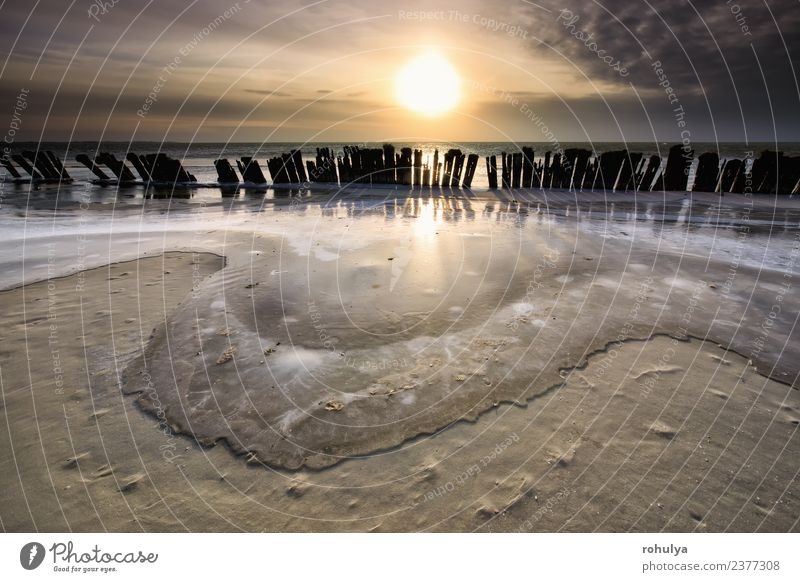 gefrorene Wellen am Wellenbrecher bei Sonnenuntergang, IJsselmeer, Niederlande Strand Winter Landschaft Himmel Horizont Sonnenaufgang Küste See Holz leuchten