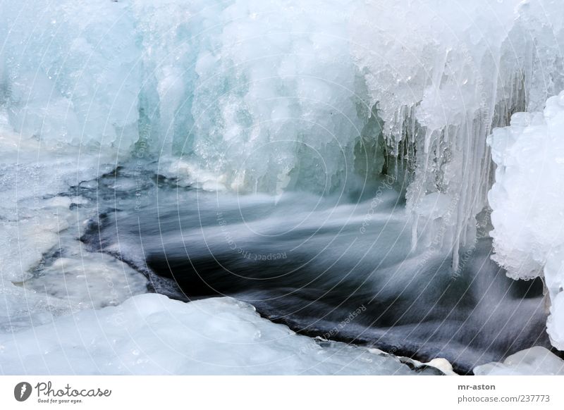 Icy Water Umwelt Natur Landschaft Urelemente Wasser Winter Eis Frost Bach Wasserfall außergewöhnlich Flüssigkeit frisch nass blau weiß kalt Klima Farbfoto