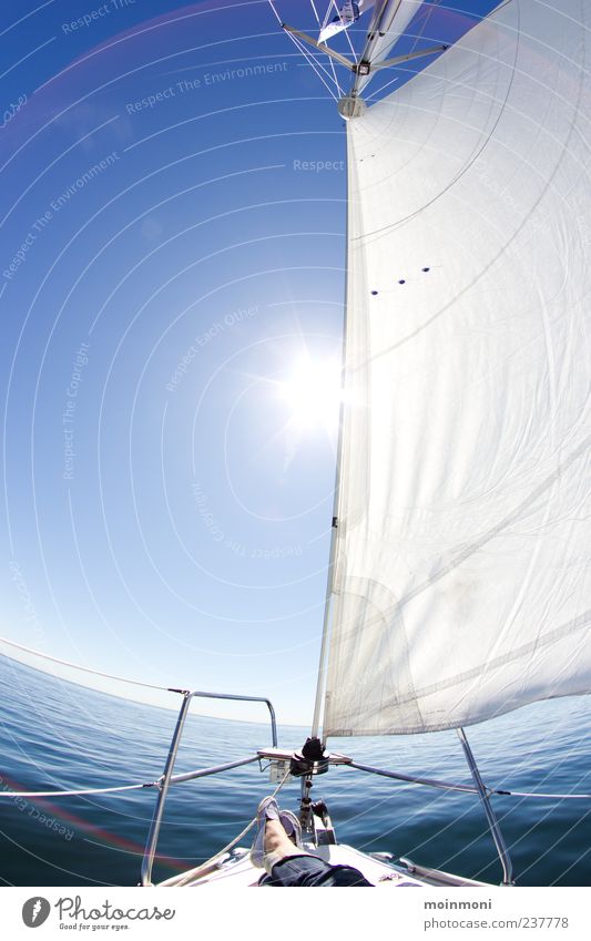 sail away ruhig Freizeit & Hobby Segeln Ferien & Urlaub & Reisen Freiheit Sommer Sonne Meer Natur Wasser Wolkenloser Himmel Sonnenlicht Schönes Wetter Ostsee