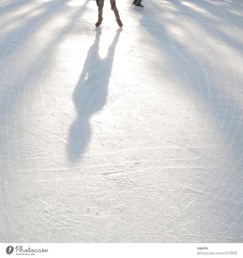 art on ice II Freizeit & Hobby Sport Wintersport Sportler Eiskunst Sportstätten Eisbahn Mensch 1 stehen ästhetisch weiß Schattenspiel Schattendasein