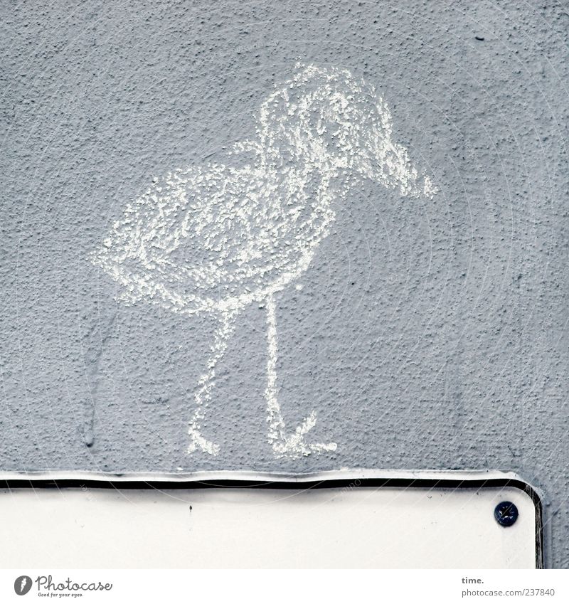 Shit Happens! Vogel 1 Tier Schilder & Markierungen gehen wandern dreckig grau Gelassenheit Wand Zeichnung Befestigung Schraube Kreide gemalt Putz umrandet