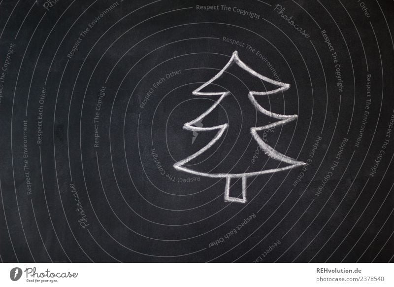 Tafelzeichnung | Tanne Feste & Feiern Weihnachten & Advent Baum außergewöhnlich einzigartig schwarz weiß Weihnachtsbaum Zeichnung Kreide einfach gemalt